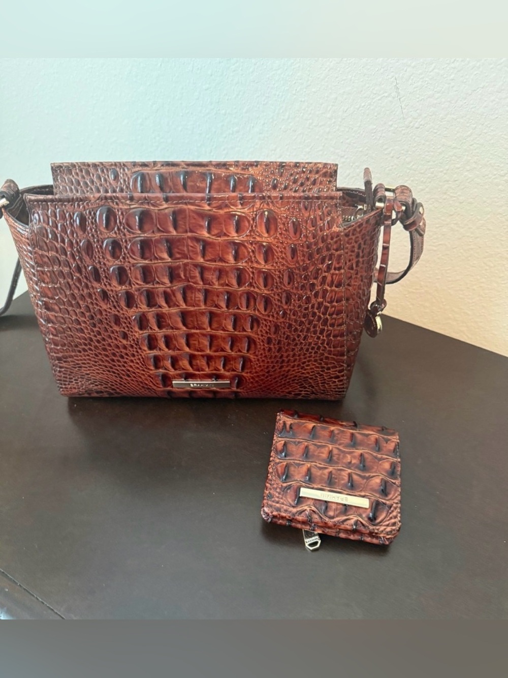 Brahmin Bag & Wallet Set